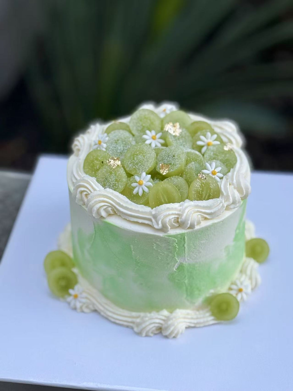 Signature Jasmine and Green Grape Cake