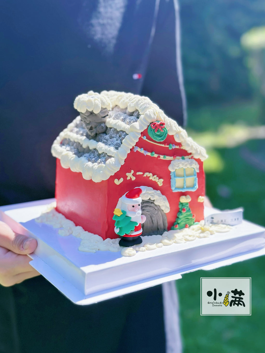Christmas House Cake